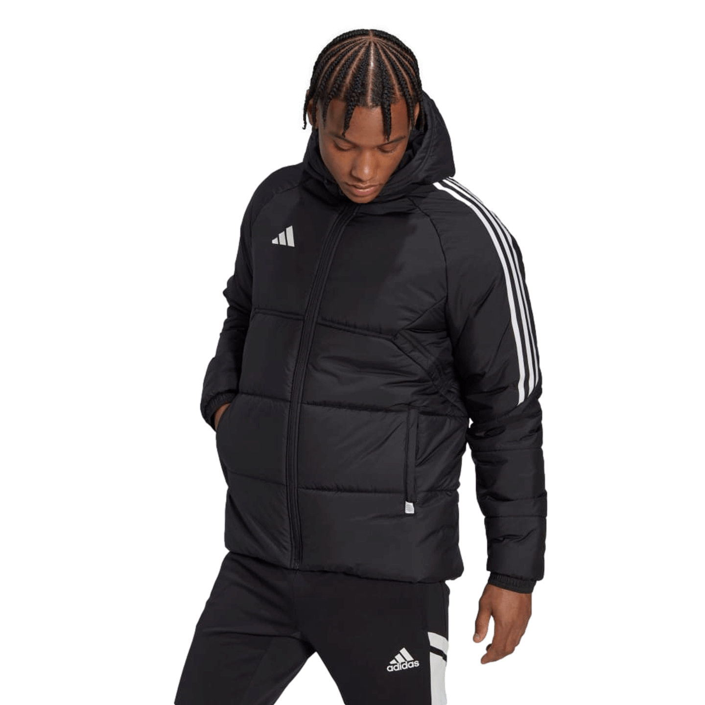 Adidas, Adidas Condivo 22 Winter Jacket